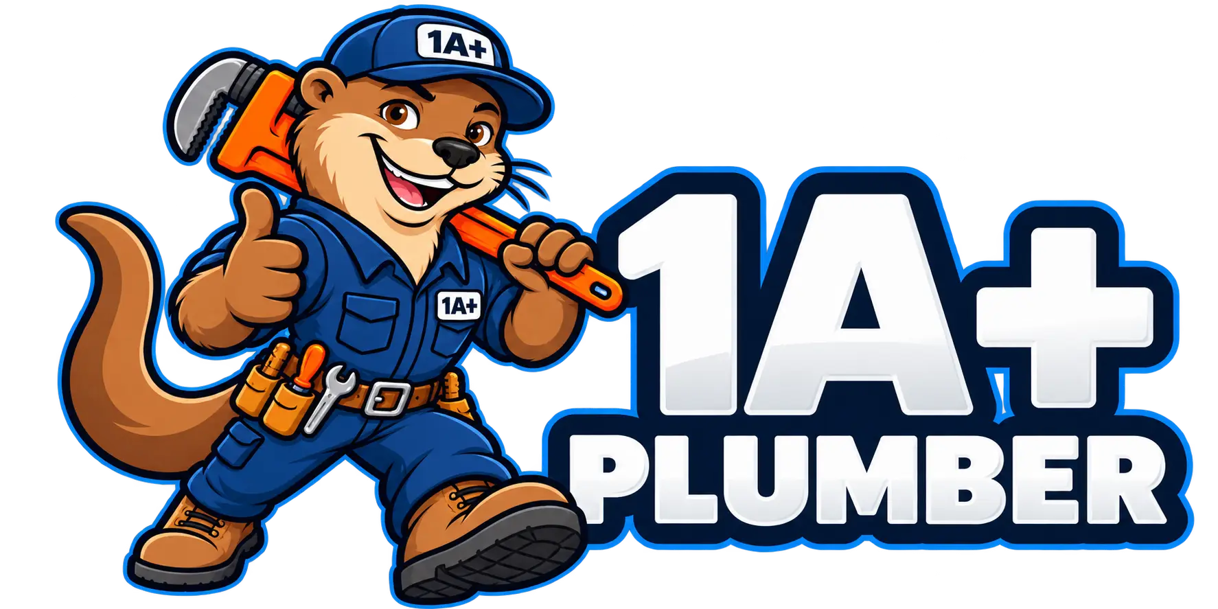 1 A+ Plumber — Privacy Policy